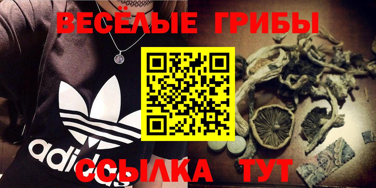 Псилоцибиновые грибы Psilocybine cubensis  Вход с VPN  Псилоцибиновые грибы мицелий  Усть-Илимск 